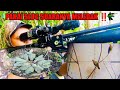 BERBURU PUNAI ‼️spot anti zonk pasti poin kalau kesini