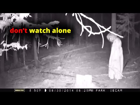 31 SCARIEST Trail Encounters Caught In The Woods Scary Comp V280