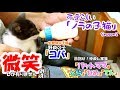 可愛らしい「ノラの子猫」Season2 #9 元気いっぱいの子猫 ですが、切なく成る行動に心傷み思い付いたのが・・