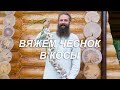 Вяжем чеснок в косы. Мексиканский способ на русский манер.