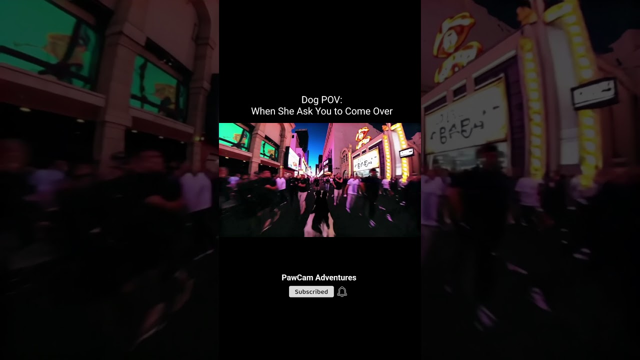 Dog POV: GF Ask You To Come Over 