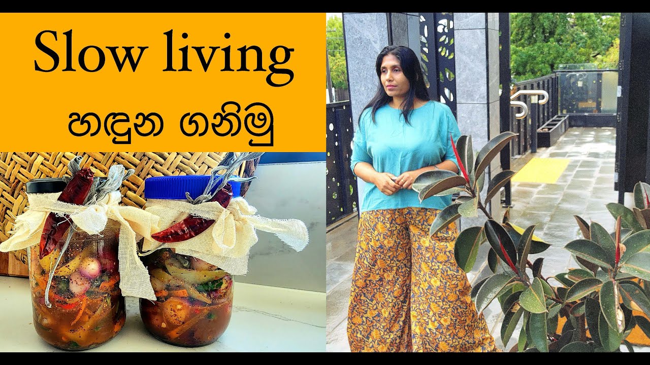 Understanding Slow living (sinhala)