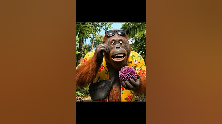Ngonten Santai, Tau-Tau Ada Harimau! Otang Panik !