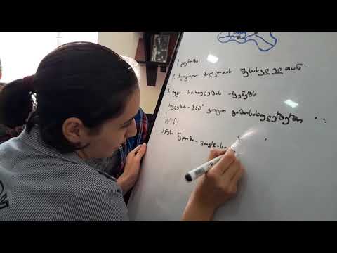 გუნდი პანორამა