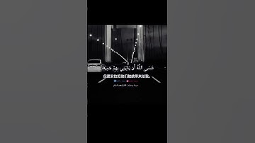 من سورة يوسف الآية 83 | القارئ محمد هشام #القرآن_الكريم #تلاوات #قرآن #حالات_واتس #اسلاميات