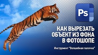 Как убрать фон в Фотошопе. Инструмент "Волшебная палочка" на неоднородном фоне. Уроки Фотошопа. Как убрать фон в Фотошопе. Инструмент "Волшебная палочка" на неоднородном фоне. Уроки Фотошопа.