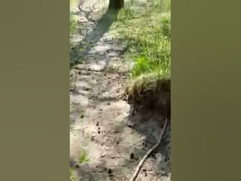 Ладога - YouTube