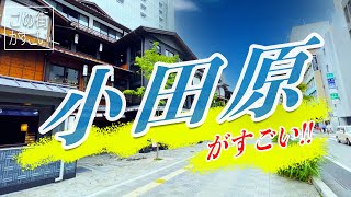[This City is Amazing] Introducing the 'Greatness' of Odawara City, Kanagawa Prefecture!!