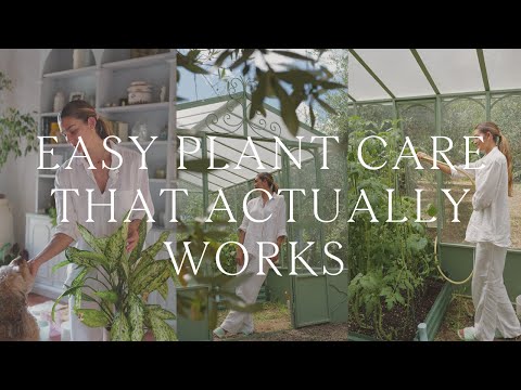 Natural Plant Care Tips for Thriving Indoor and Outdoor Gardens