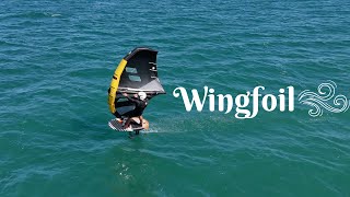 New Evo Wing Gold & Beluga RRD for a light wind session