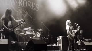 The New Roses - Without a Trace