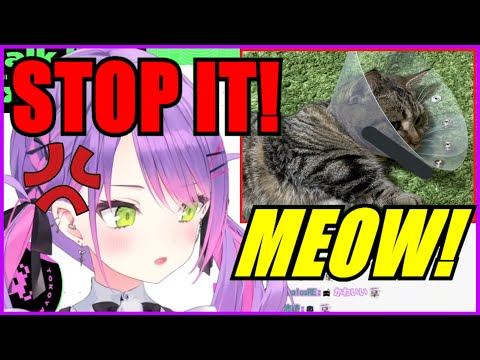 Towa Had A Fight With Her Cat Because...【Hololive | Eng Sub】