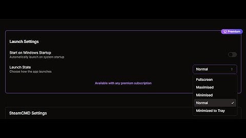 Launch Settings Feature - HaruHost Game Server Manager
