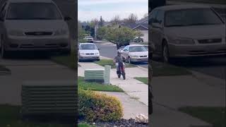 Driver Allegedly Tried To Hit Boy on E-Bike #shorts