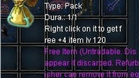 Gift Bag Dragon Conquer Private Server