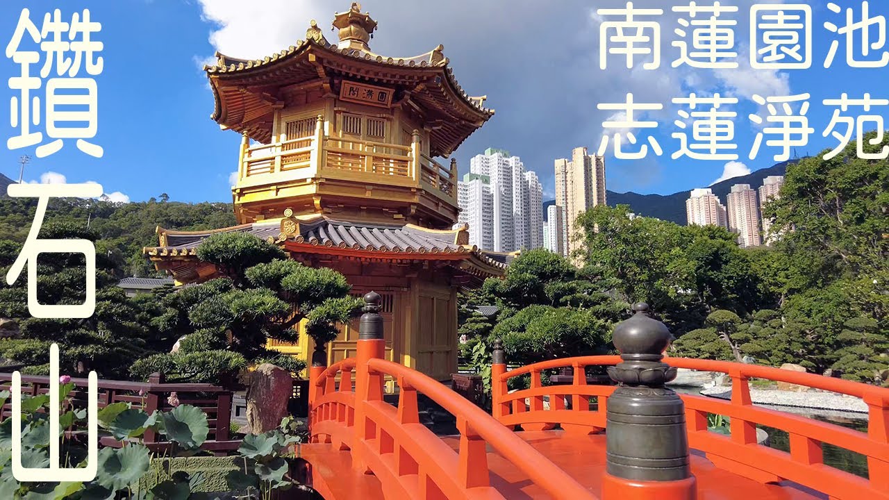 【禪意】志蓮淨苑Chi Lin Nunnery｜南蓮園池Nan Lian Garden｜鑽石山Diamond Hill｜香港Hong Kong｜Walking Tour｜高樓鬧市中見仿唐廡殿式木建築｜