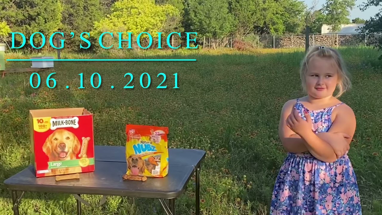 Dog’s choice: Natural Nubz.