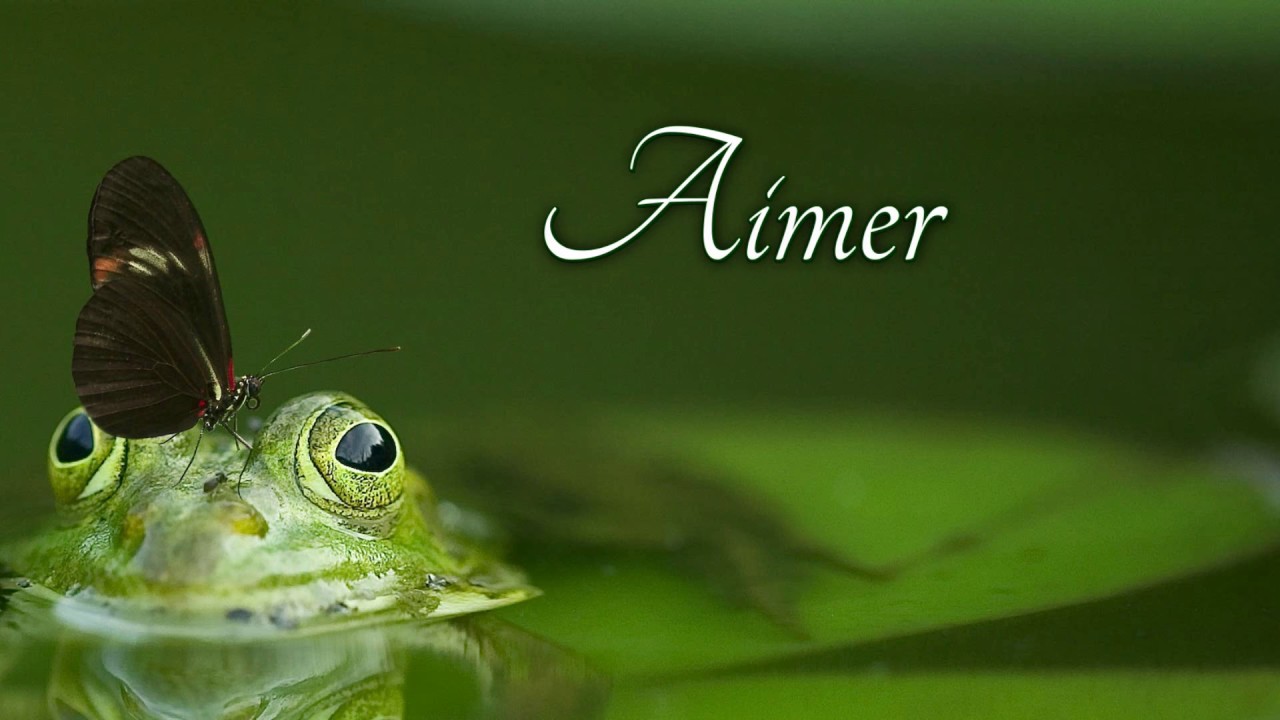 How to pronounce aimer in French motorcycles for sale