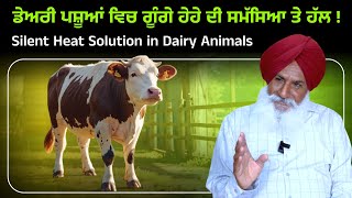ਡਅਰ ਪਸਆ ਚ ਗਗ ਹਹ ਦ ਸਮਸਆ ਇਸ ਤਰਹ ਕਰਏ ਕਟਰਲ Control Silent Heat In Dairy Animals