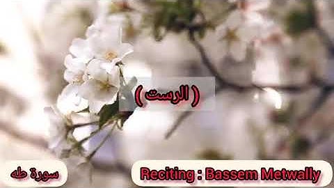 مقام الرست من سورة طه قرار وجواب