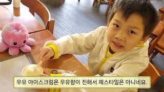 제주 오설록! 녹차 박물관에 가다