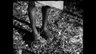 Queen Of The Amazons (1947) JUNGLE ADVENTURE Queen Of The Amazons (1947) JUNGLE ADVENTURE