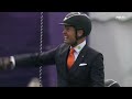The Netherlands claiming Gold in Aachen 👑 🚀 | FEI Driving World Championship Aachen 2026