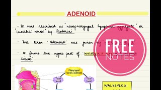 Adenoid- Anatomy, pathology and management.