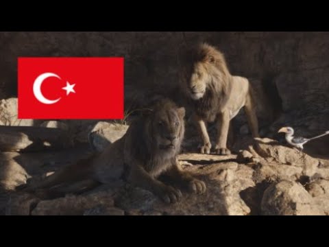 The Lion King (2019) Scar & Mufasa [Turkish/Türkçe]