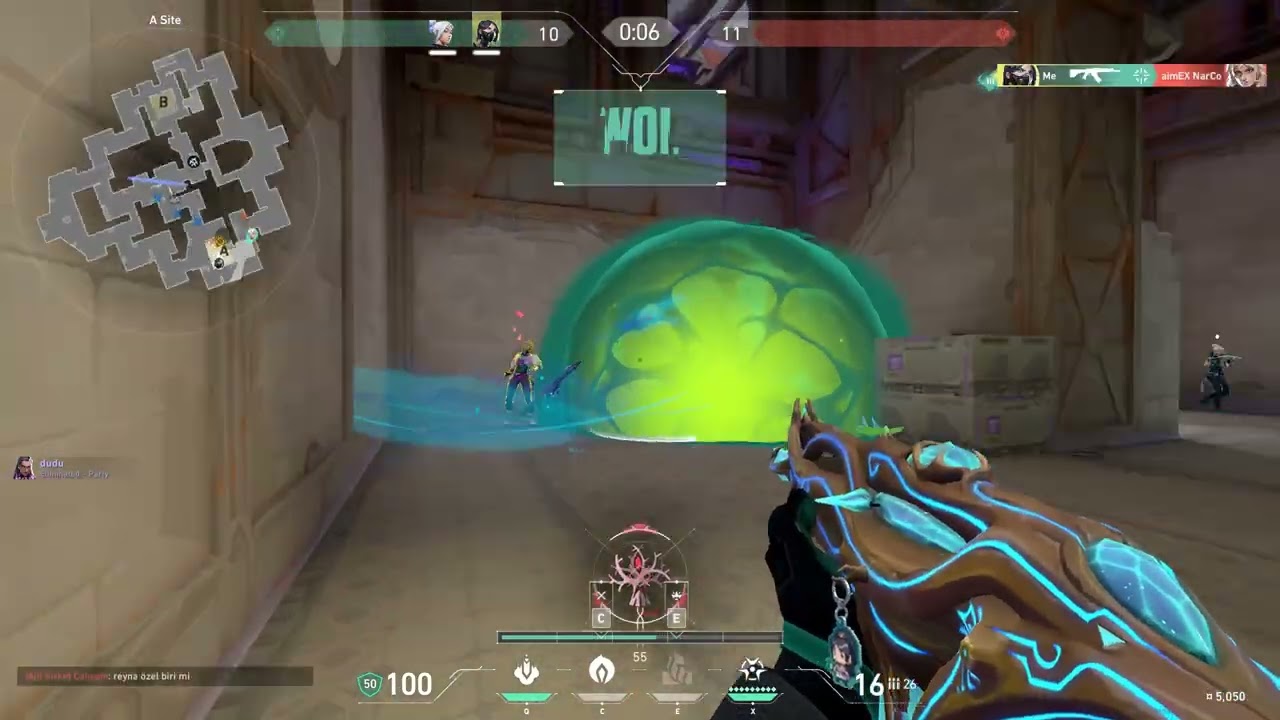 Rottweiler x Century