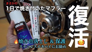 CT125 ハンターカブ 1日で焼きついたマフラーを復活！
