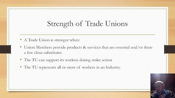 Trade Unions unit 3 4 IGCSE 0455 Video