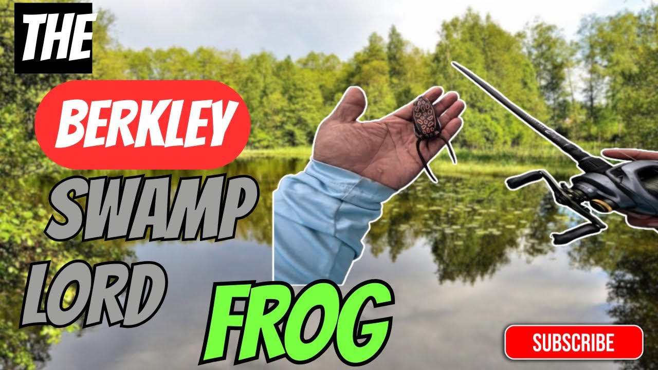 Early summer TOPWATER frog fishing BIG BASS (Berkley  swamp lord frog)