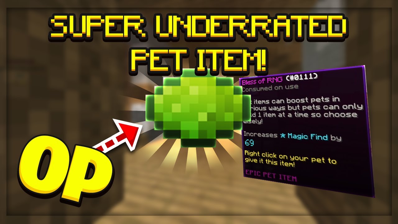 The best and the most underrated pet item | Hypixel ...