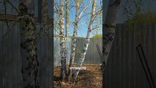 Трансформация участка за одну неделю #ландшафтныйдизайн #ingardenland