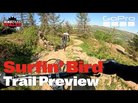 BikePark Wales | GoPro Trail Preview - Surfin' Bird