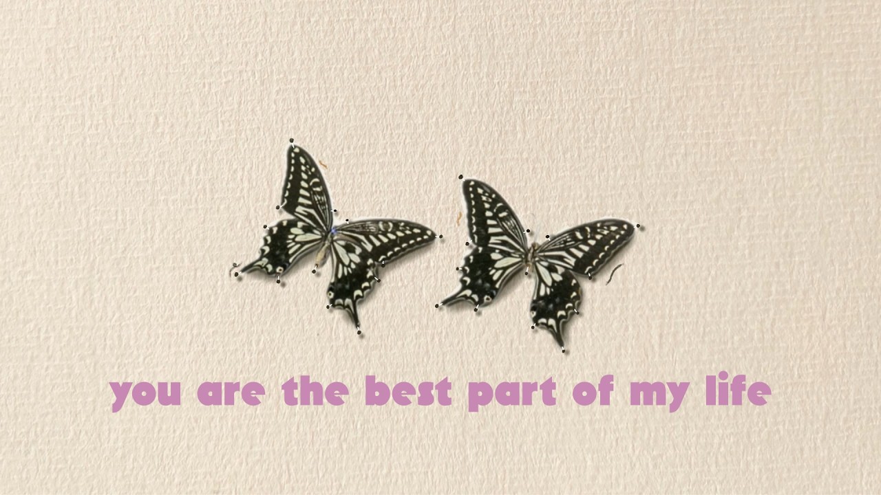 The Swallowtails - Perspective (Lyric Video)