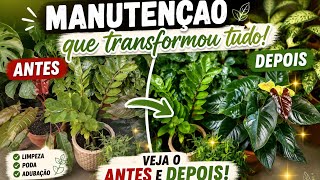 ANTES e DEPOIS das minhas plantas 😱🌿 | Manutenção que transformou tudo!