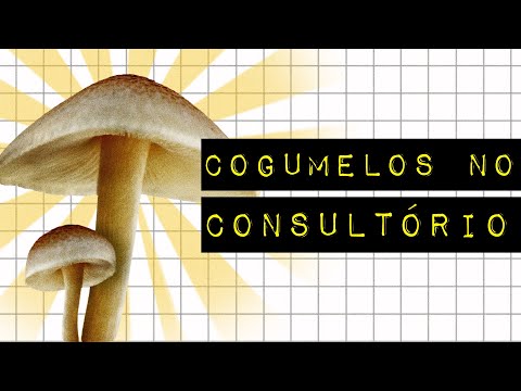 Vídeo: Mosquito de cogumelo: métodos de luta. Como se livrar de sciarids: instruções passo a passo