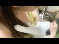 大好きなパパに怒られてガチ凹みする息子猫