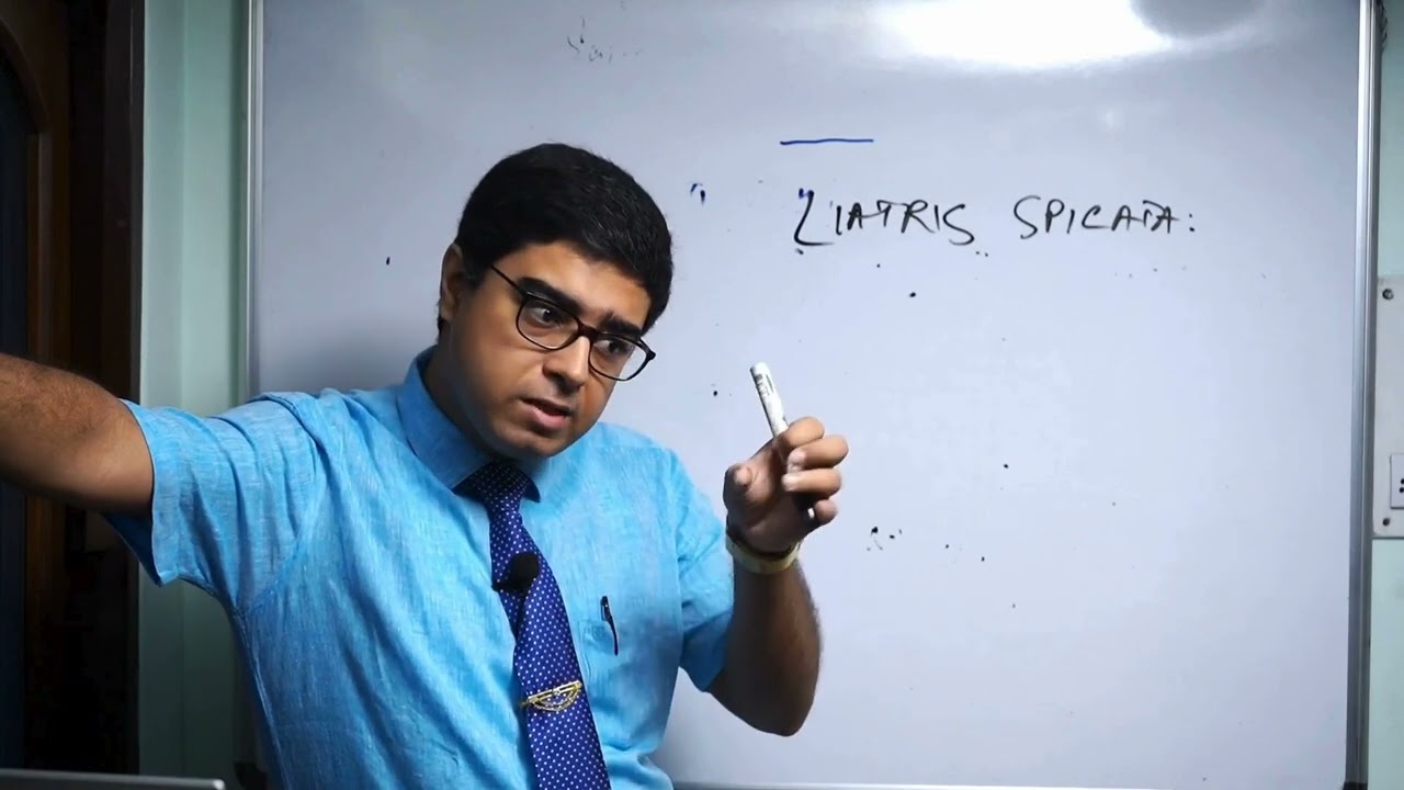 ХРОНИЧЕСКАЯ БОЛЕЗНЬ ПОЧЕК: ОРГАНОПАТИИ - МОЧЕВИНА, КРЕАТИНИН