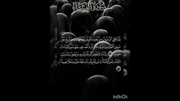 سوره النساء عدد آياتها ١٧٦ آيه (سوره مدنيه ) من الآيه ١١٥ إلي الآيه ١١٦