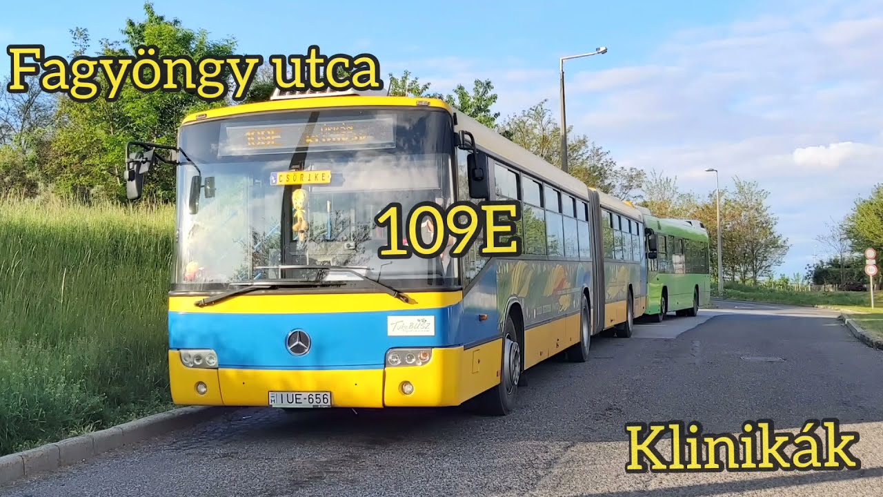 109E Fagyöngy utca - Klinikák