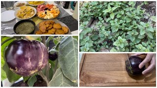 Today's Iftar From My Kitchen Garden | Ramadan Recipe