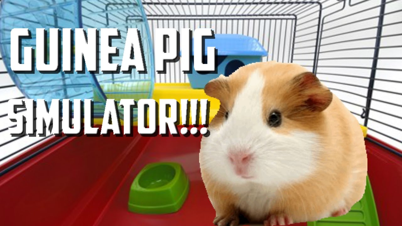 Roblox Its Funneh Genny Pig Simulator Video