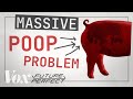 Impact of Biogas on Waste Management