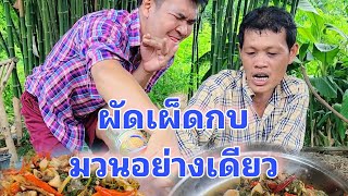 ผัดเผ็ดกบ หลามกบ กับแกล้มชั้นดี