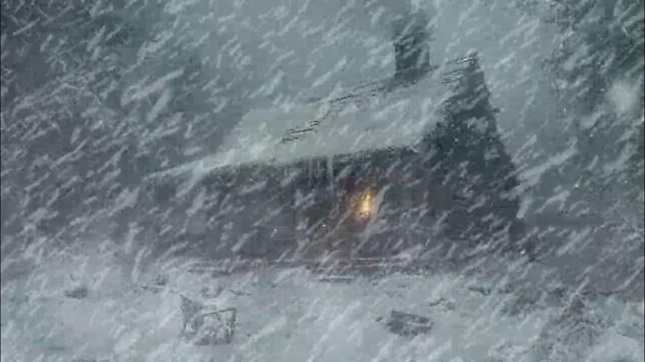 Blizzard Sounds for Sleep, Relaxation & Staying Cool | Snowstorm Sounds & Howling Wind in the Forest Blizzard Sounds for Sleep, Relaxation & Staying Cool | Snowstorm Sounds & Howling Wind in the Forest