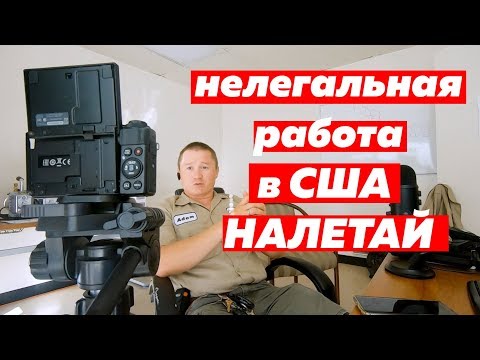 Видео: Откуда большинство иммигрантов в США?