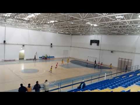 EDCF&mdash;Casal Cinza